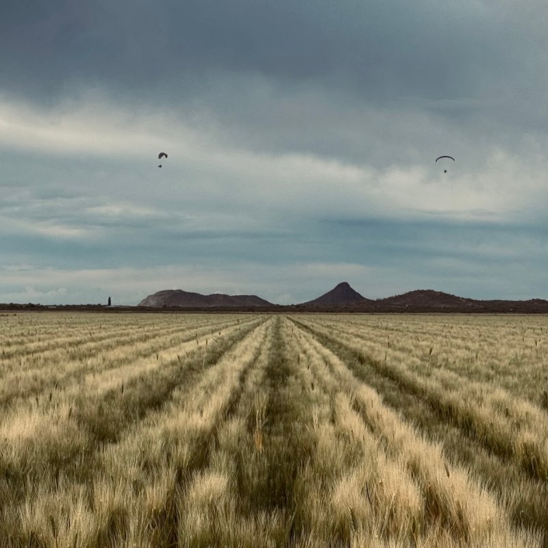 Presence in the&nbsp;Present